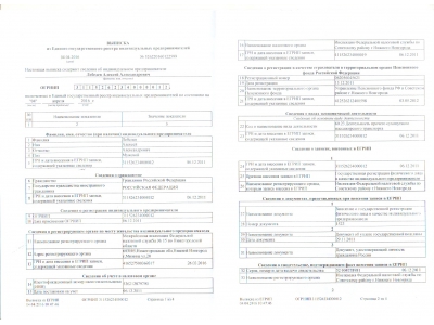 Свидетельство и выписка (04.04.2016)